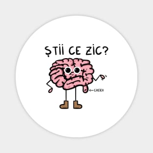 stii ce zic Magnet